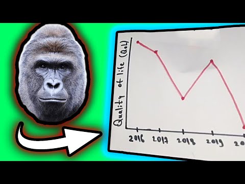 Why a Gorilla's Death Caused Humanity's Downfall