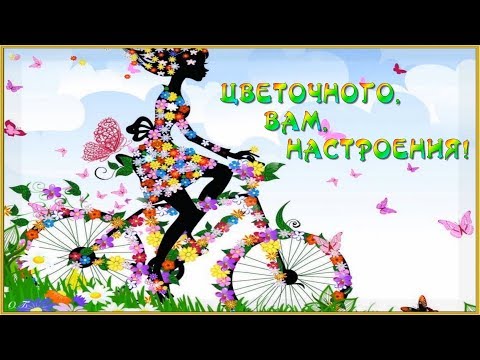 🌺ЦВЕТОЧНОГО НАСТРОЕНИЯ!🌺КРАСИВАЯ ВИДЕО ОТКРЫТКА🌺