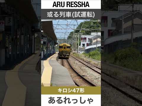 【観光列車】或る列車【電車が大好きな子供向け】Japanese Trains for Kids - JR Luxury Train ARU RESSHA