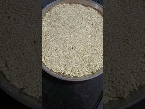 Til gud chikki | Sesame seeds chikki| homemade chikki| making of chikki| #shortsvideo