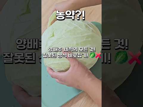 양배추 세척의 모든 것! 잘못된 상식 바로잡기! 🥬❌