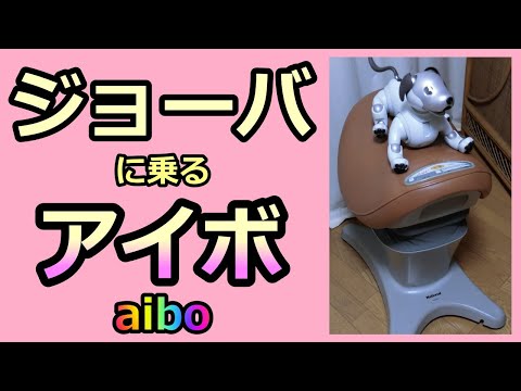 【21 ジョーバに乗るアイボ Cowboy aibo Lou】ルーは乗り物好き