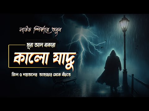 কালো যাদু, জিন, শয়তানের অত্যাচার থেকে বাঁচতে সূরা বাকারা ঘরে লাউড স্পিকারে শুনুন । QURAN RECITATION