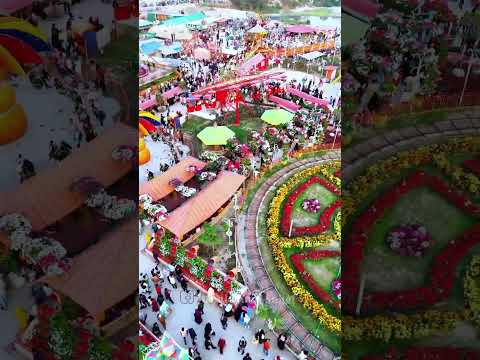 vairal park #foryou #viralvideo