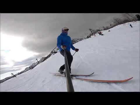 241203 One theory: If you ski with a one-handed selfie stick, the skier will not move up and down.