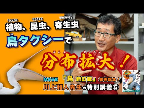 【図鑑MOVEミニ講義⑤】「生態系のなかの鳥」について鳥類学者・川上和人先生が解説！