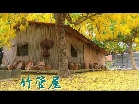 阿勃勒 夢幻黃金雨 (台南白河) 竹管屋 / 斗笠公園 / 阿勃勒大道，Music "Love" by AshamaluevMusic