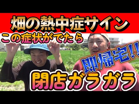 【熱中症】データと実体験の両方から見る!!○○の症状が出たら帰ろう!!熱中症サイン!!#家庭菜園 #農業初心者 #園芸