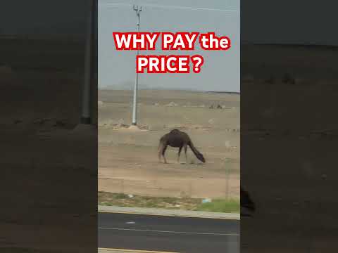 Why PAY the PRICE? #whypaymore #motivation #values #lifelessons #lifemotivation #youtube #viral #ksa