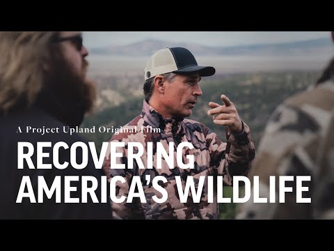 Recovering America's Wildlife Act - Elk Hunting with Senator Martin Heinrich