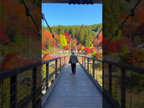 【愛知・観光】この秋に行きたい！！愛知県のオススメ紅葉スポット！