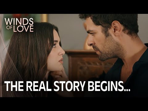 Zeynep took the blame! | Winds of Love Episode 160 (MULTI SUB)