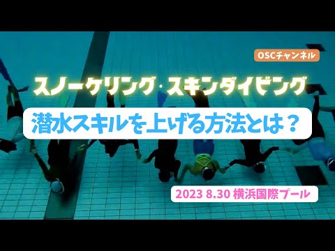 潜水スキルを上げる方法とは？OSCスキンダイビング講習会（基礎編・応用実践編）の練習風景 in 神奈川・横浜国際プール