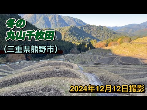 【冬の丸山千枚田（三重県熊野市）を探訪】日本の棚田百選に選ばれる「丸山千枚田」機械に頼らずほとんどが昔ながらの手作業で守られています　#みえ#たなだ#くまの