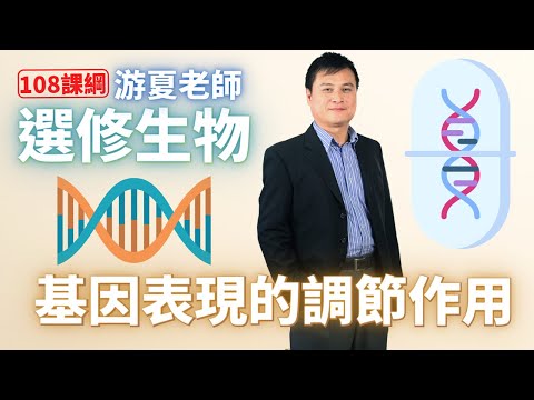 基因表現的調節作用 - 高中選修生物 | 游夏老師