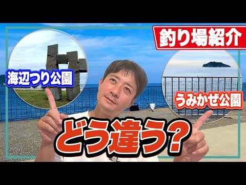 【うみかぜ公園/海辺つり公園】あなたはどちらに行くべき？13項目で徹底比較！