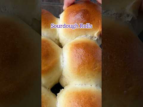 Sourdough Rolls. Dinner rolls made with sourdough discard. #sourdough #dinnerrolls