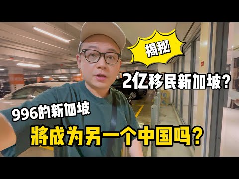 需要2亿才能移民新加坡？996的新加坡将成为另一个中国吗？