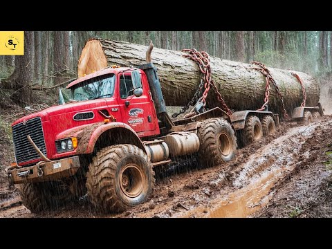 Dangerous Idiots Truck & Heavy Equipment Fails Compilation | Extreme Truck Idiots at Work #33