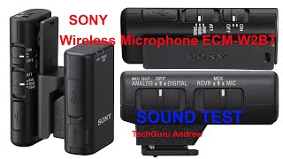 SONY Wireless Microphone ECM-W2BT SOUND TEST