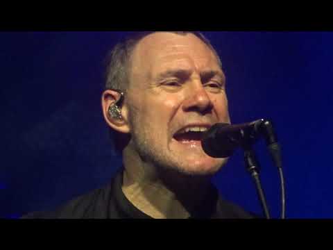 Babylon - David Gray (live in Tivoli/Vredenburg 2019)