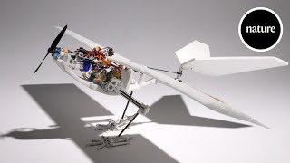 Watch this bird-inspired robotic drone leap into the air