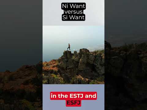 Ni Want vs Si Want | EgoHackers