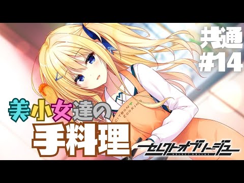 【セレクトオブリージュ】共通√ part14【実況プレイ】