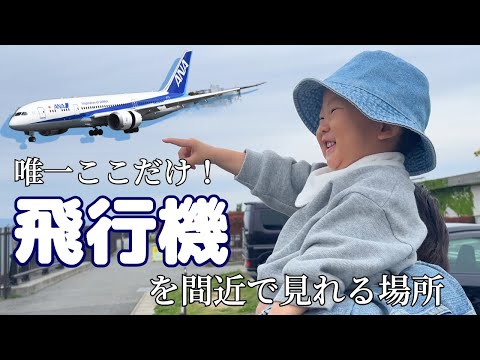 大迫力！息子と初めて伊丹スカイパークへ✈️✨