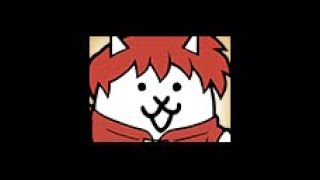 貓亂馬（男） (日：ネコ乱馬（男）) (英：Ranma Cat (M))貓亂馬（女） (日：ネコらんま（女）) (英：Ranma Cat (F))