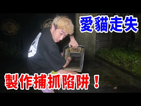 我的貓走丟了！在花園設置捕抓陷阱！竟抓到一堆奇怪生物！【好棒Bump】