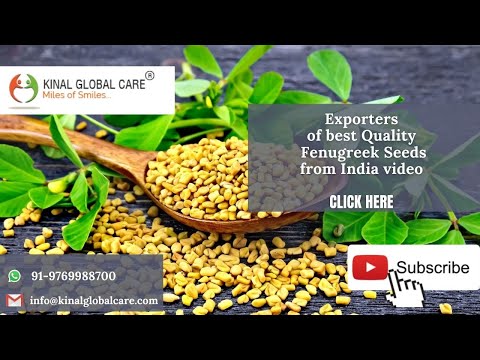 Fenugreek Seeds