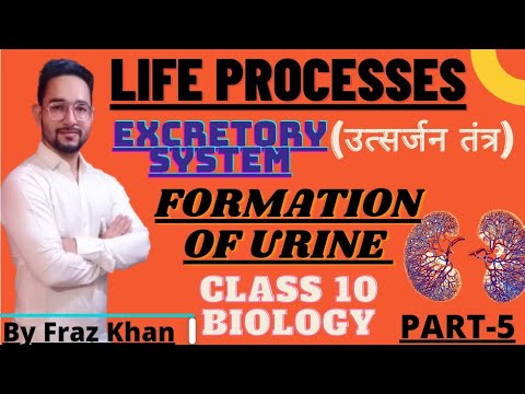 Excretory System | Formation Of Urine | Life Processes Cbse Class 10 Biology | By Fraz Khan