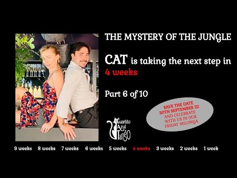 The Mystery of the Jungle - Part 6