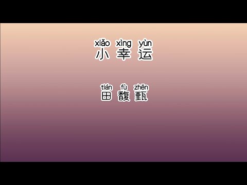 《小幸运》 田馥甄 【高音质歌词版】 中文拼音