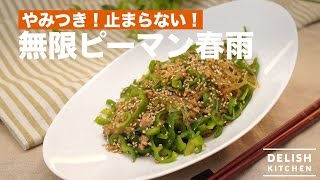 やみつき！止まらない！無限ピーマン春雨の作り方　｜　How To Make Green Pepper and Bean‐starch Vermicelli