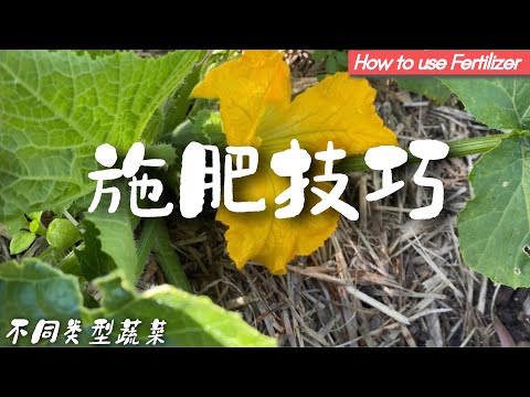 不一样的蔬菜施不一样的施肥方法。有机种植如此施肥才能硕果累累.