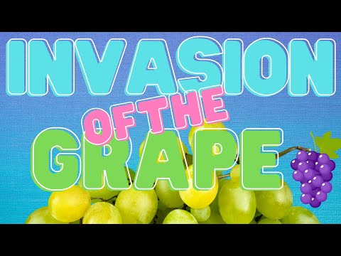 The invasion of the grape 🍇