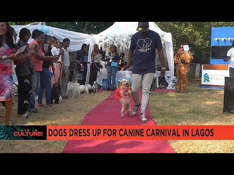 Dogs Canine Carnival in Lagos attracts dozens of pet owners