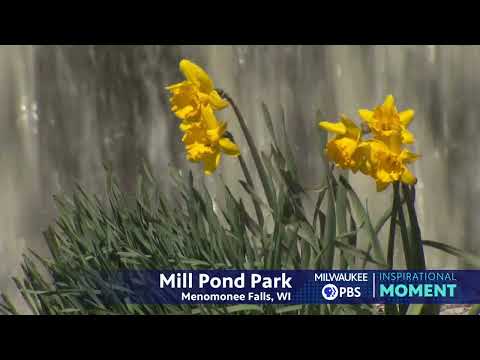 Milwaukee PBS Presents | Inspirational Moments | Mill Pond Park