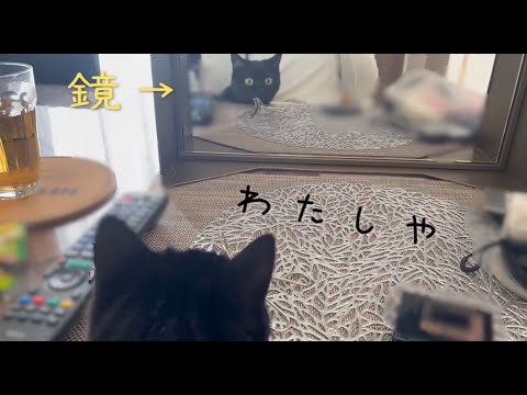 化粧をしている飼い主と鏡が気になる黒猫