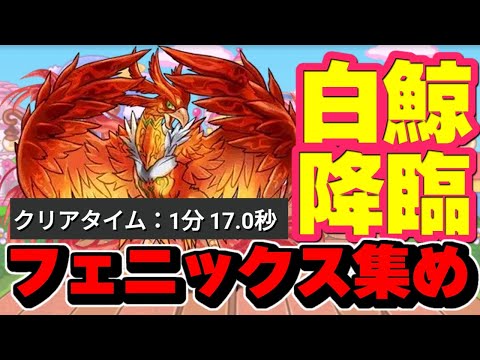 【パズドラ】白鯨降臨でフェニックス集め周回編成