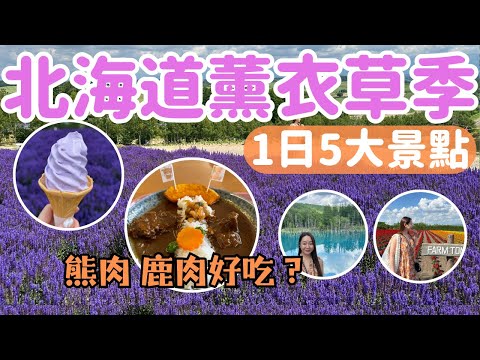 🪻北海道薰衣草花海｜第一次吃鹿肉熊肉｜雲霄飛車之路｜美瑛青池｜四季彩之秋｜白鬚瀑布｜富田農場｜