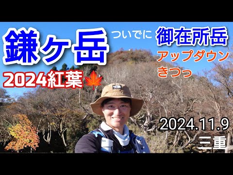 鎌ヶ岳・御在所岳  2024紅葉周回