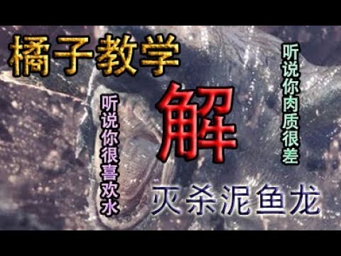 橘子教学《怪物猎人：世界》盾斧最安逸的配装吊打泥鱼龙