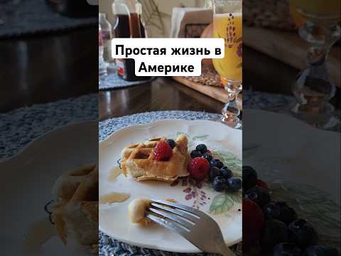 Вкусный Завтрак и собаки #usa #shorts #dogs #positivevibes