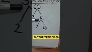 Factor tree of 60 #factorization #factortree