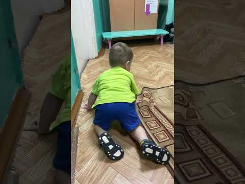 #shortvideo #рекомендации #лайк #live #качканар #привет #собираемся из садика