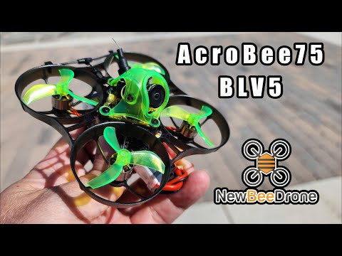 NewBeeDrone AcroBee75 BLV5 Analog Power Whoop