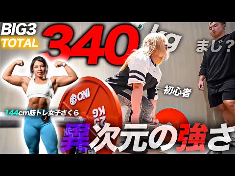 【最強】BIG3合計340kg超えの144cm筋肉女子が異次元の強さでした…